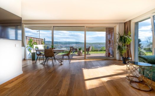 Apartament 3 camere, grădină, vedere panoramică — Cluj-Napoca